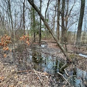 Photo #10 of SERENITY LN, ONANCOCK, VA 2.7 acres