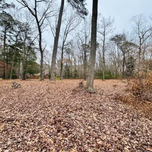 Photo #11 of SERENITY LN, ONANCOCK, VA 2.7 acres