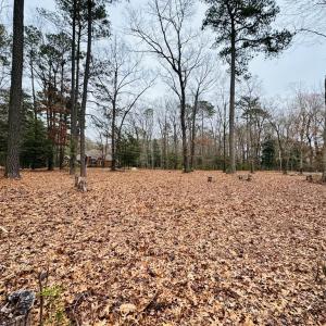 Photo #12 of SERENITY LN, ONANCOCK, VA 2.7 acres