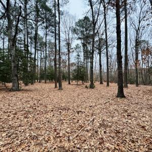 Photo #13 of SERENITY LN, ONANCOCK, VA 2.7 acres