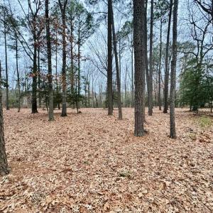 Photo #14 of SERENITY LN, ONANCOCK, VA 2.7 acres