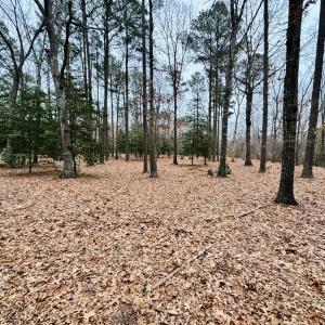 Photo #15 of SERENITY LN, ONANCOCK, VA 2.7 acres