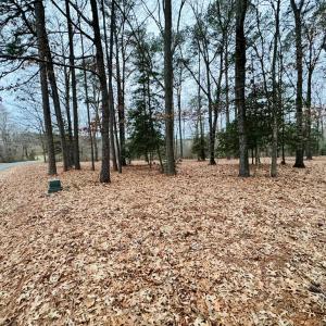 Photo #16 of SERENITY LN, ONANCOCK, VA 2.7 acres