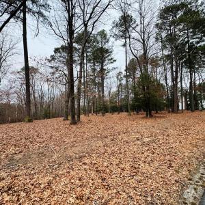 Photo #6 of SERENITY LN, ONANCOCK, VA 2.7 acres