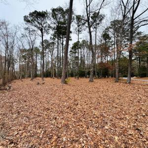 Photo #7 of SERENITY LN, ONANCOCK, VA 2.7 acres