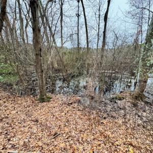 Photo #9 of SERENITY LN, ONANCOCK, VA 2.7 acres