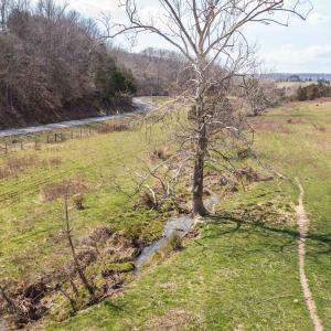 Photo #8 of TBD DAM TOWN RD, FORT DEFIANCE, VA 89.1 acres
