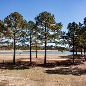 Photo #4 of 237 MUIRFIELD DRIVE, CAPE CHARLES, VA 0.2 acres