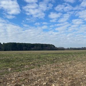 Photo #13 of Lot C LANKFORD HWY, CAPE CHARLES, VA 9.6 acres