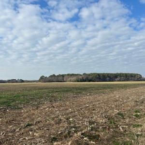 Photo #9 of Lot D LANKFORD HWY, CAPE CHARLES, VA 7.5 acres