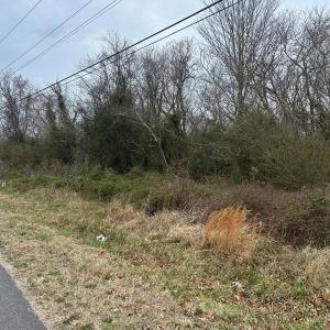 Photo #3 of ARLINGTON RD, CAPE CHARLES, VA 0.5 acres