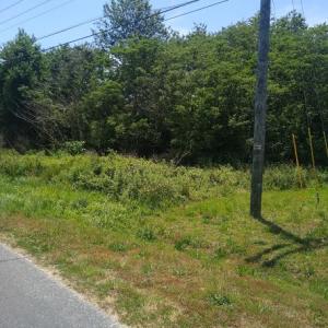 Photo #4 of ARLINGTON RD, CAPE CHARLES, VA 0.5 acres