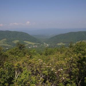 Photo #6 of 0 OLD DAIRY RD, WARM SPRINGS, VA 3.3 acres
