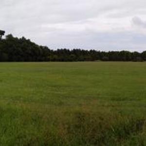 Photo #2 of Lot 14 PINE DR, PARKSLEY, VA 2.8 acres