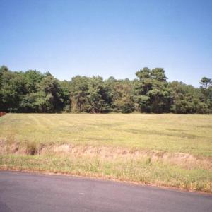 Photo #3 of Lot 14 PINE DR, PARKSLEY, VA 2.8 acres