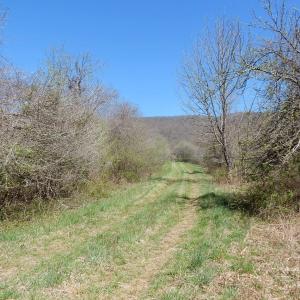 Photo #4 of tbd SAM SNEAD HWY, WARM SPRINGS, VA 32.0 acres