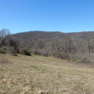 Photo #7 of tbd SAM SNEAD HWY, WARM SPRINGS, VA 32.0 acres