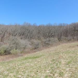 Photo #8 of tbd SAM SNEAD HWY, WARM SPRINGS, VA 32.0 acres