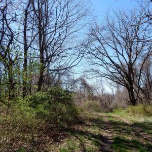 Photo #9 of tbd SAM SNEAD HWY, WARM SPRINGS, VA 32.0 acres