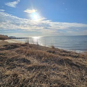 Photo #10 of DENNIS DR, SAXIS, VA 3.6 acres