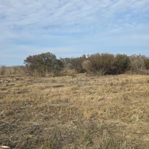 Photo #5 of DENNIS DR, SAXIS, VA 3.6 acres