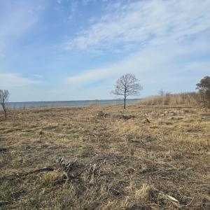 Photo #6 of DENNIS DR, SAXIS, VA 3.6 acres