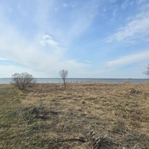 Photo #7 of DENNIS DR, SAXIS, VA 3.6 acres