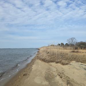 Photo #8 of DENNIS DR, SAXIS, VA 3.6 acres