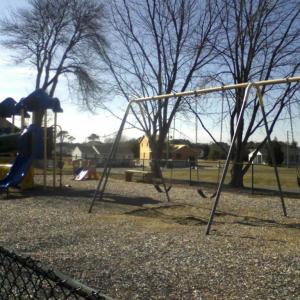 Photo #12 of Lot 2024 MAYFLOWER DR, GREENBACKVILLE, VA 0.2 acres