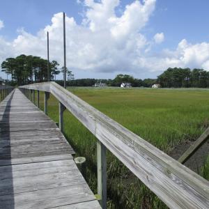 Photo #6 of Lot 10 CRIPPEN VIEW, PARKSLEY, VA 1.1 acres