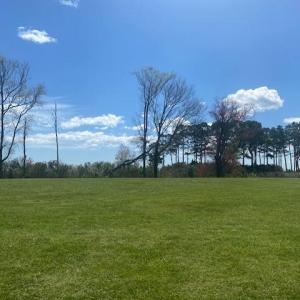Photo #4 of Lot 63 LEWIS LANE, PARKSLEY, VA 1.1 acres