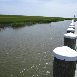 Photo #2 of Lot 63 LEWIS LANE, PARKSLEY, VA 1.1 acres