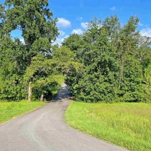 Photo #11 of Lot 3 VILLA DESTE CT, CHARLOTTESVILLE, VA 5.0 acres