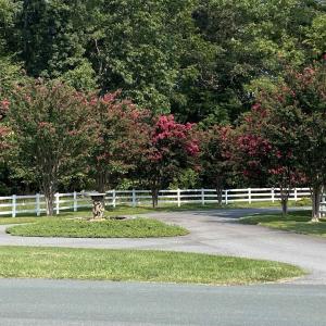 Photo #3 of Lot 3 VILLA DESTE CT, CHARLOTTESVILLE, VA 5.0 acres