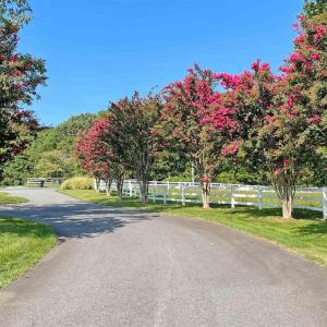 Photo #4 of Lot 3 VILLA DESTE CT, CHARLOTTESVILLE, VA 5.0 acres