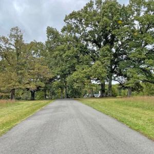 Photo #6 of Lot 3 VILLA DESTE CT, CHARLOTTESVILLE, VA 5.0 acres