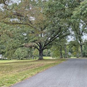 Photo #8 of Lot 3 VILLA DESTE CT, CHARLOTTESVILLE, VA 5.0 acres