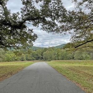 Photo #9 of Lot 3 VILLA DESTE CT, CHARLOTTESVILLE, VA 5.0 acres