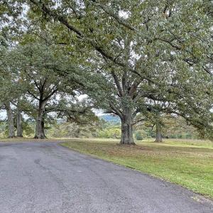 Photo #10 of Lot 3 VILLA DESTE CT, CHARLOTTESVILLE, VA 5.0 acres