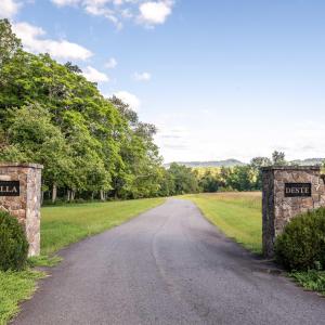 Photo #1 of Lot 3 VILLA DESTE CT, CHARLOTTESVILLE, VA 5.0 acres