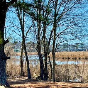 Photo #10 of Lot 34 PITTS CREEK RD, NEW CHURCH, VA 8.2 acres