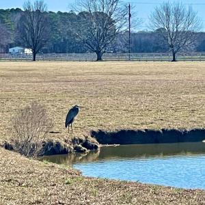 Photo #23 of Lot 34 PITTS CREEK RD, NEW CHURCH, VA 8.2 acres