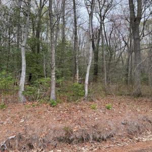 Photo #24 of Lot 34 PITTS CREEK RD, NEW CHURCH, VA 8.2 acres