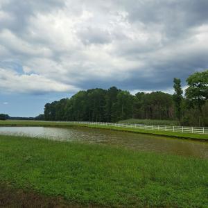 Photo #27 of Lot 34 PITTS CREEK RD, NEW CHURCH, VA 8.2 acres