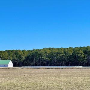 Photo #13 of Lot 34 PITTS CREEK RD, NEW CHURCH, VA 8.2 acres