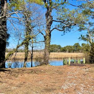 Photo #22 of Lot 34 PITTS CREEK RD, NEW CHURCH, VA 8.2 acres