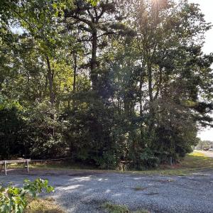 Photo #10 of Lot 128 OCTOPUS, GREENBACKVILLE, VA 0.3 acres