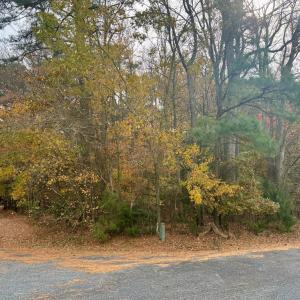 Photo #13 of Lot 128 OCTOPUS, GREENBACKVILLE, VA 0.3 acres