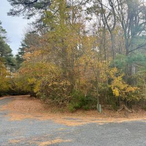 Photo #2 of Lot 128 OCTOPUS, GREENBACKVILLE, VA 0.3 acres