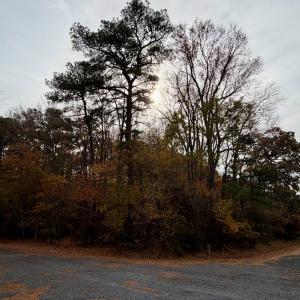 Photo #3 of Lot 128 OCTOPUS, GREENBACKVILLE, VA 0.3 acres